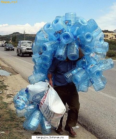 Servicii colectare deseuri reciclabile - First Recycler desfasoara activitati complexe in - Noutati regionale