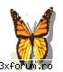 pentru imaginea fetelor de pe site-ul nostru - atomic_man - Fetele vor .............
