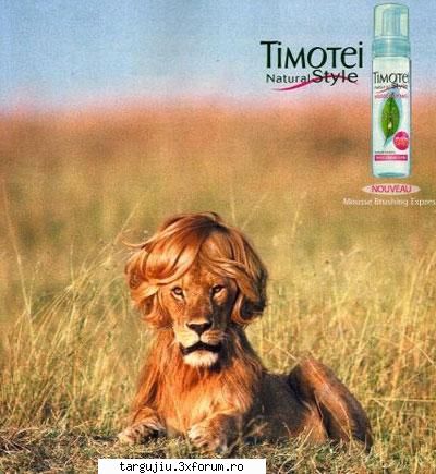 poze - pentru zambetele voastre - dmldone - Fun stuff