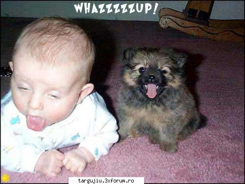 sectiune poze funny - dmldone - Fun stuff