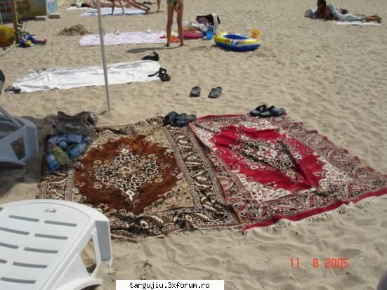 sectiune poze funny - uita ti taranii la mare lollllllllllllll - Fun stuff