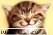sectiune poze funny - uitatzi-va la matza mea...a fost atat de - Fun stuff