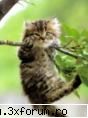 sectiune poze funny - sarakutzu....se juk shi el de-a lara - Fun stuff